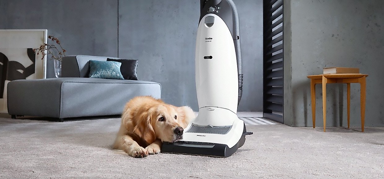 Miele Dynamic U1 Cat & Dog Hamilton Vacuums