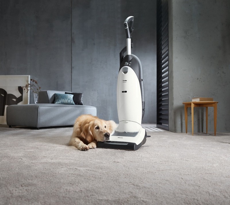 Miele Dynamic U1 Cat & Dog Powerline Vacuum Cleaner